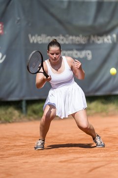 Bild 601 - Klipper Open